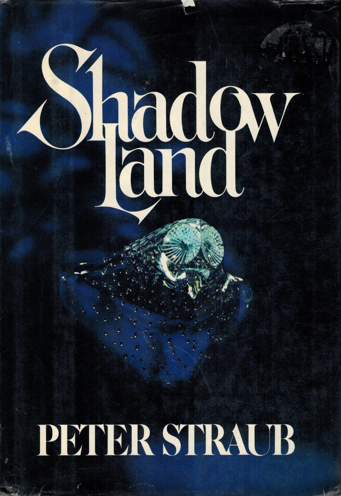 The Truth Inside The Lie A Review Of Quot Shadowland Quot By